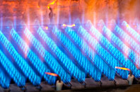 Leoch gas fired boilers